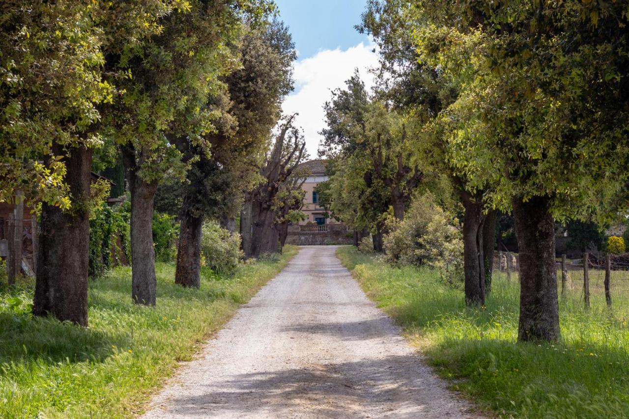 Villa Cornossa Marta Exteriér fotografie